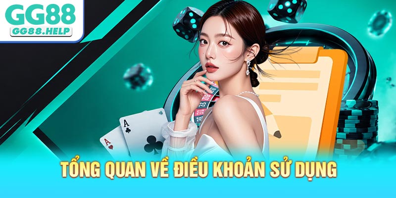 Tổng quan về chính sách điều khoản sử dụng