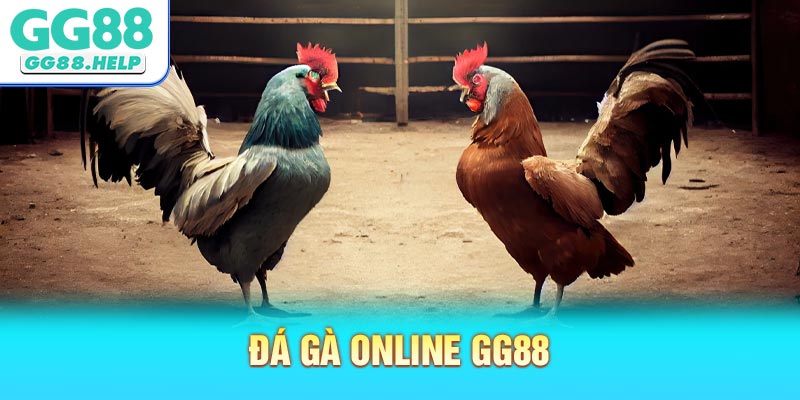 Đá Gà Online GG88 - Sân Chơi Cá Cược Đỉnh Cao