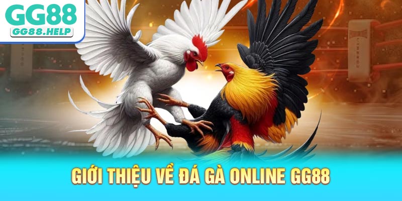 Giới Thiệu Về Đá Gà Online GG88