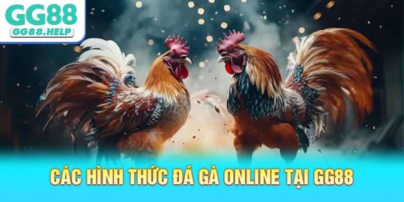 Các Hình Thức Đá Gà Online Phổ Biến Tại GG88